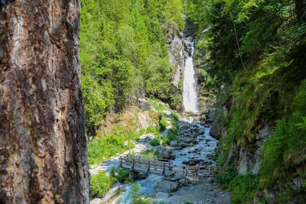 La nature au coeur de Chamonix - Nature in the heart of Chamonix