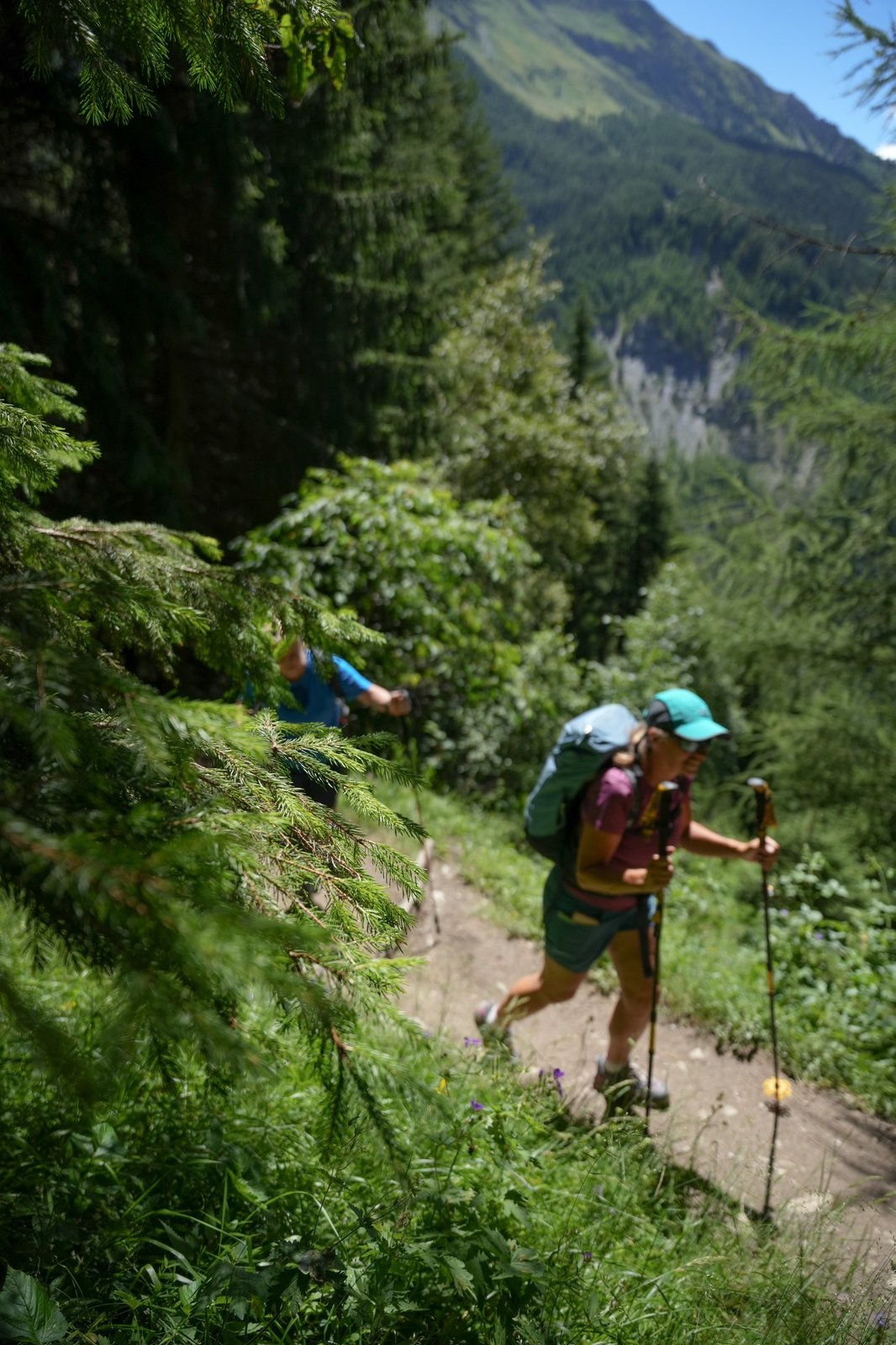 En liberté sur les sentiers du Tour du Mont-Blanc