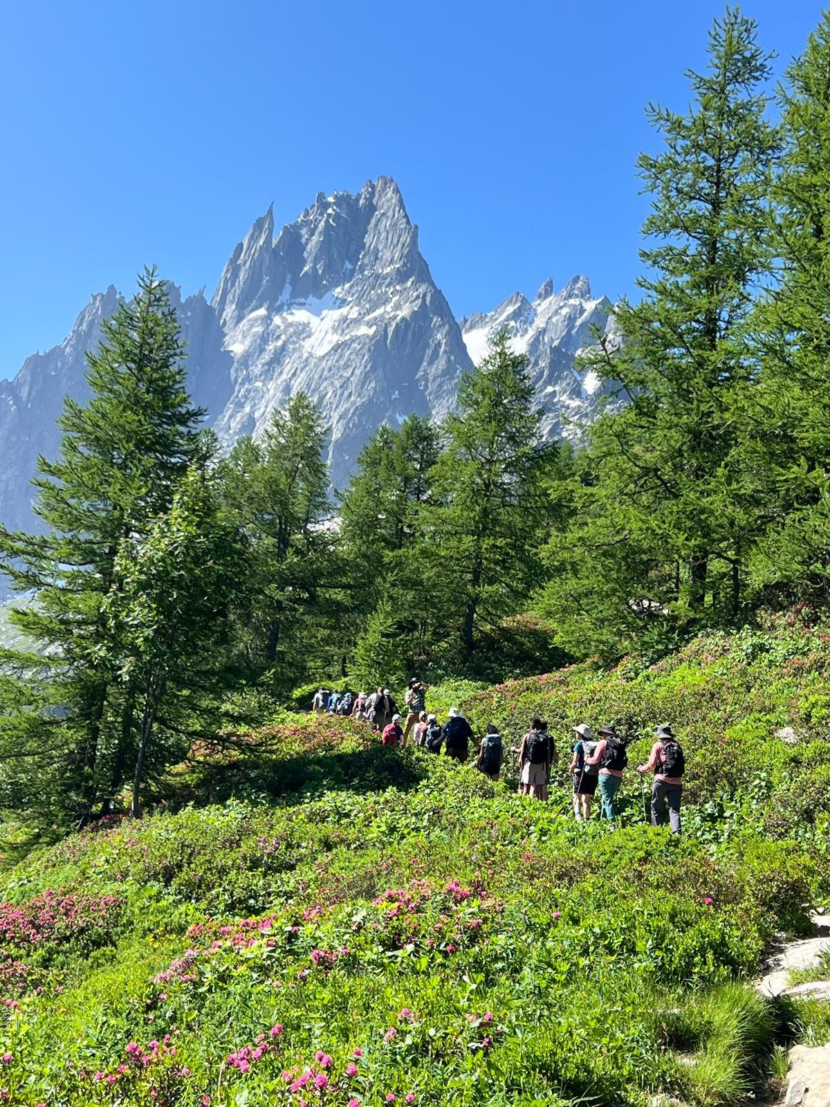 Randonneurs sur le Tour du Mont-Blanc, au pied des aiguilles de Chamonix