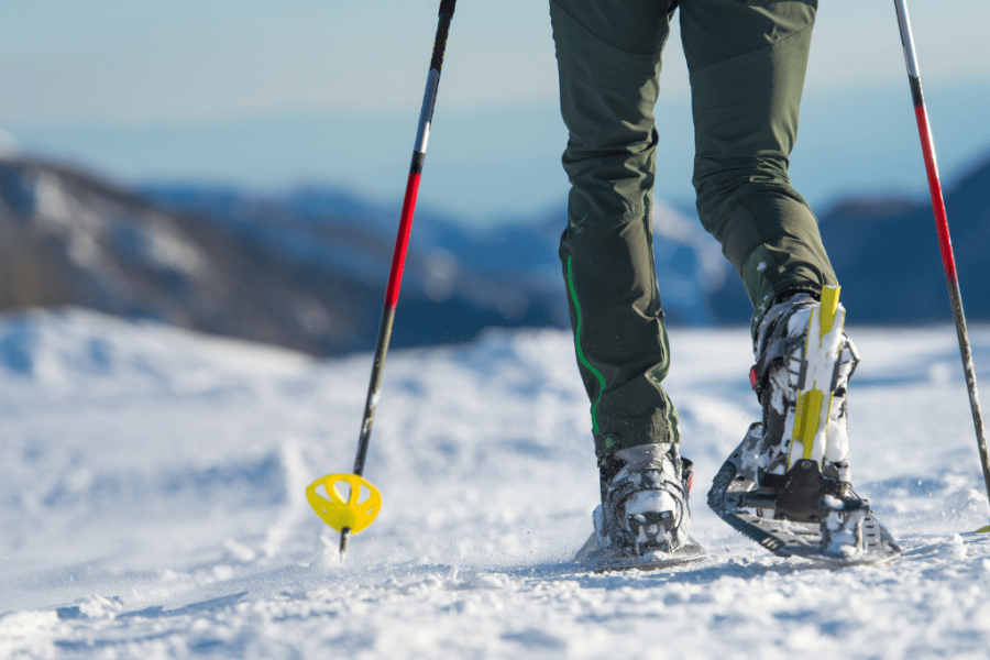 All Women Snowshoeing Holidays based in the Alps.