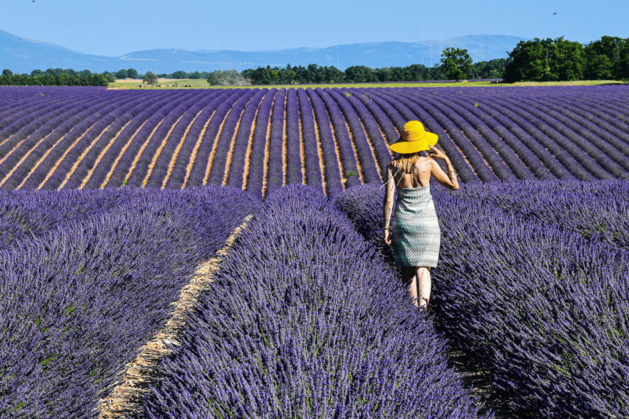 Women-only trip in Provence